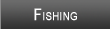 Lake Allatoona Fishing